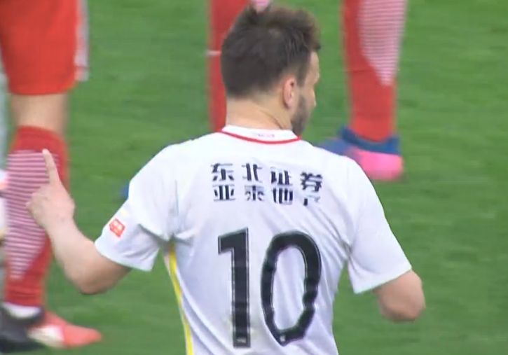 美国zoom动物仙踪林介绍