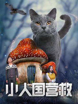 久久夜精品va视频免费观看
