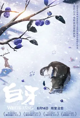 久久久久精彩视频