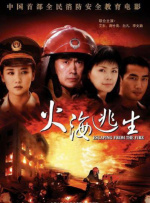 free性护士videos中国