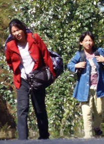 精品一区二区在线观看
