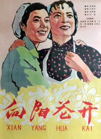 操女人bb